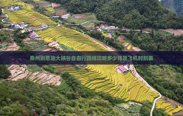 泰州到恩施大峡谷自由行