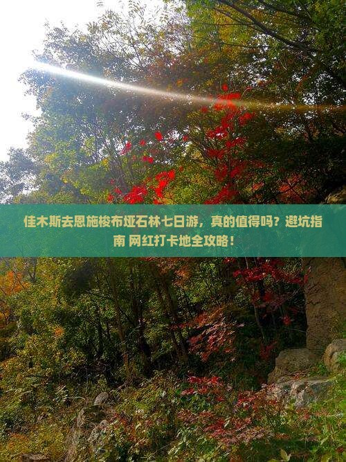 佳木斯去恩施梭布垭石林七日游