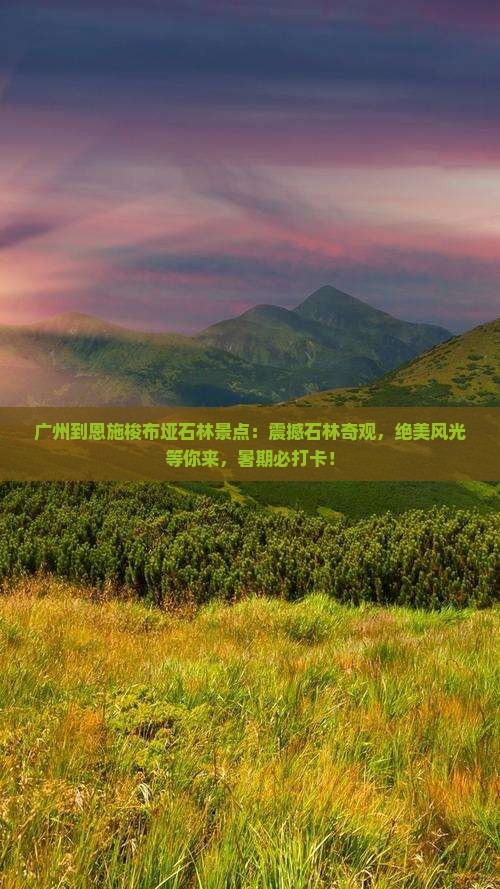广州到恩施梭布垭石林景点