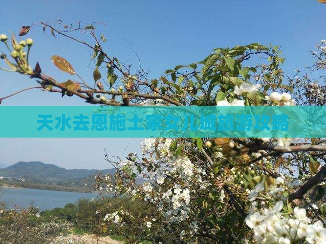 天水去恩施土家女儿城门票