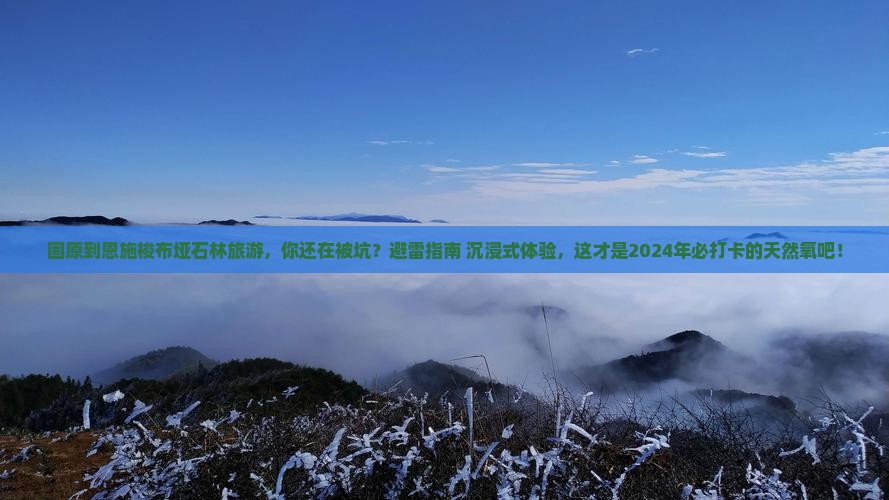 固原到恩施梭布垭石林旅游