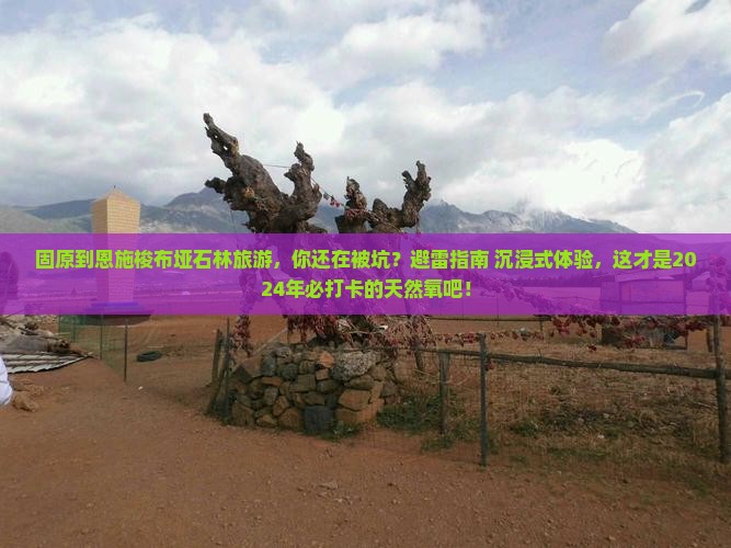 固原到恩施梭布垭石林旅游