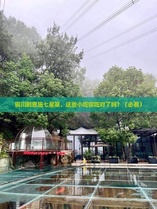 铜川到恩施七星寨旅游小吃