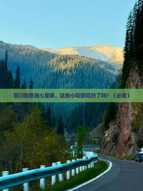 铜川到恩施七星寨旅游小吃