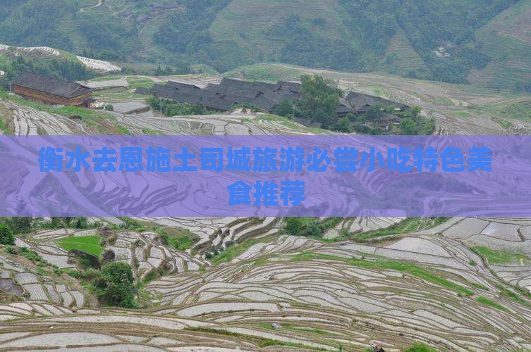 衡水去恩施土司城旅游必尝小吃特色美食推荐