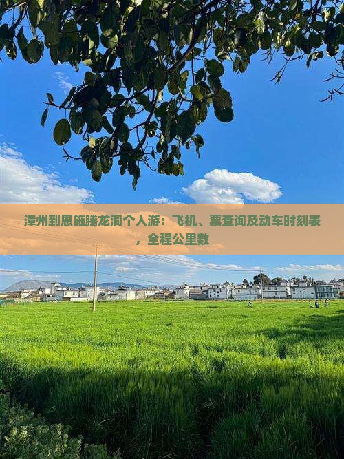 漳州到恩施腾龙洞个人游：飞机、票查询及动车时刻表，全程公里数