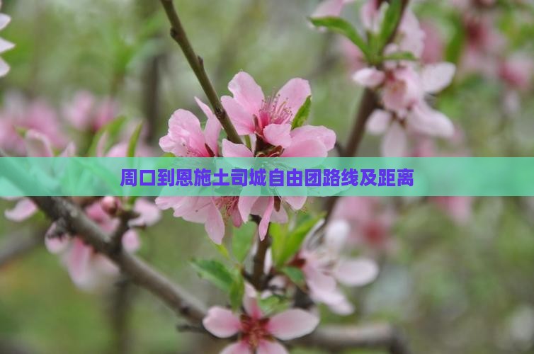 周口到恩施土司城自由团路线及距离