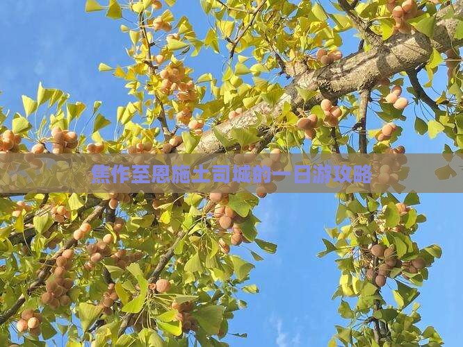 焦作至恩施土司城的一日游攻略