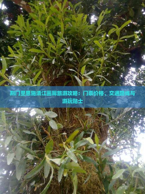 荆门至恩施清江画廊旅游攻略：门票价格、交通路线与游玩贴士