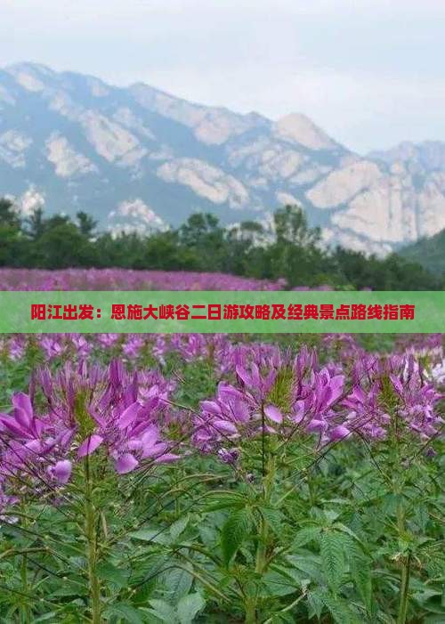 阳江出发：恩施大峡谷二日游攻略及经典景点路线指南