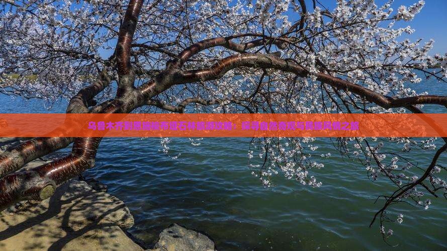 乌鲁木齐到恩施梭布垭石林旅游攻略：探寻自然奇观与民族风情之旅
