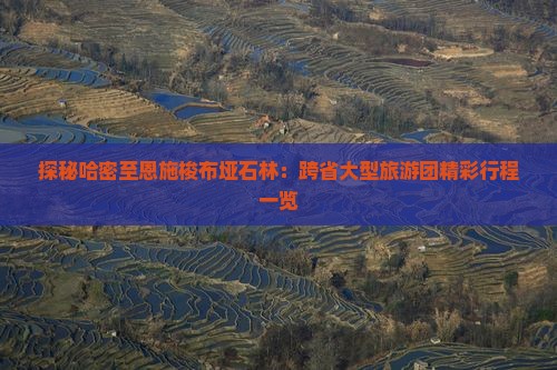 探秘哈密至恩施梭布垭石林：跨省大型旅游团精彩行程一览
