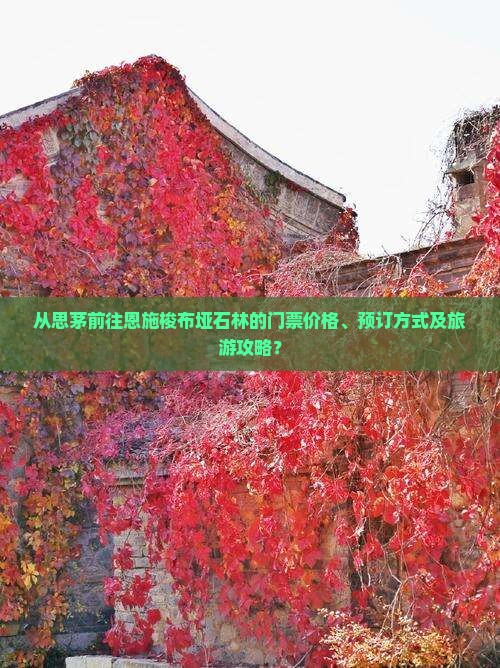 从思茅前往恩施梭布垭石林的门票价格、预订方式及旅游攻略？