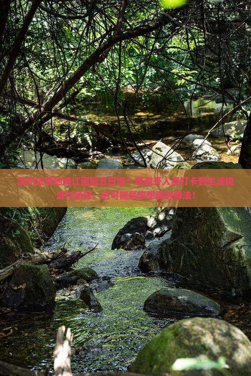 滨州去恩施清江画廊五日游？想避开人潮打卡野生滤镜清江画廊，这可能是你想要的解法！
