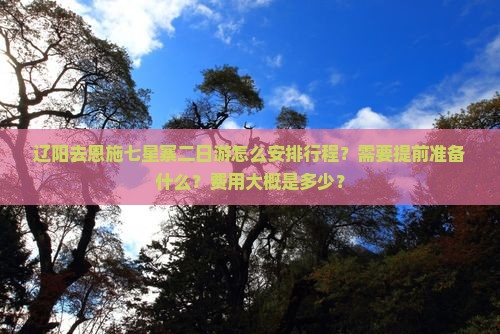 辽阳去恩施七星寨二日游怎么安排行程？需要提前准备什么？费用大概是多少？