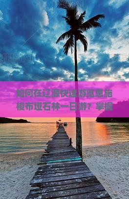 如何在辽源快速游览恩施梭布垭石林一日游？掌握高效出行痛点，解锁网红打卡新体验！