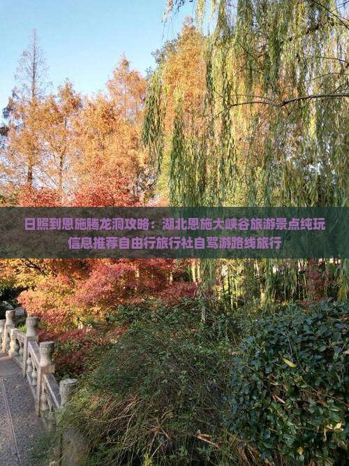 日照到恩施腾龙洞攻略：湖北恩施大峡谷旅游景点纯玩信息推荐自由行旅行社自驾游路线旅行