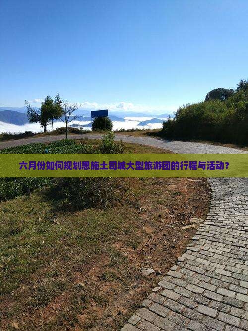 六月份如何规划恩施土司城大型旅游团的行程与活动？