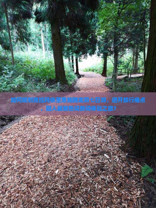 如何规划克拉玛依至恩施腾龙洞七日游，避开旅行痛点，融入最新热词新词体验之旅？
