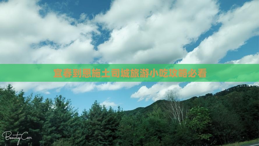 宜春到恩施土司城旅游小吃攻略必看