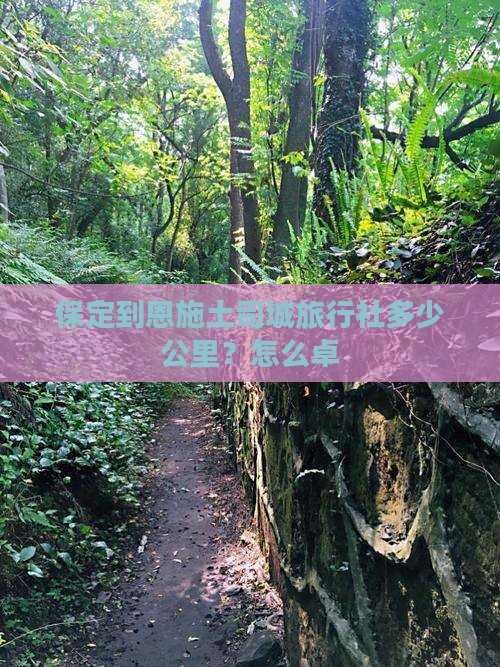 保定到恩施土司城旅行社多少公里？怎么卓