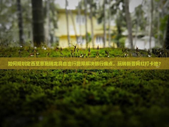 如何规划定西至恩施腾龙洞自由行路犀解决旅行痛点，玩转新晋网红打卡地？