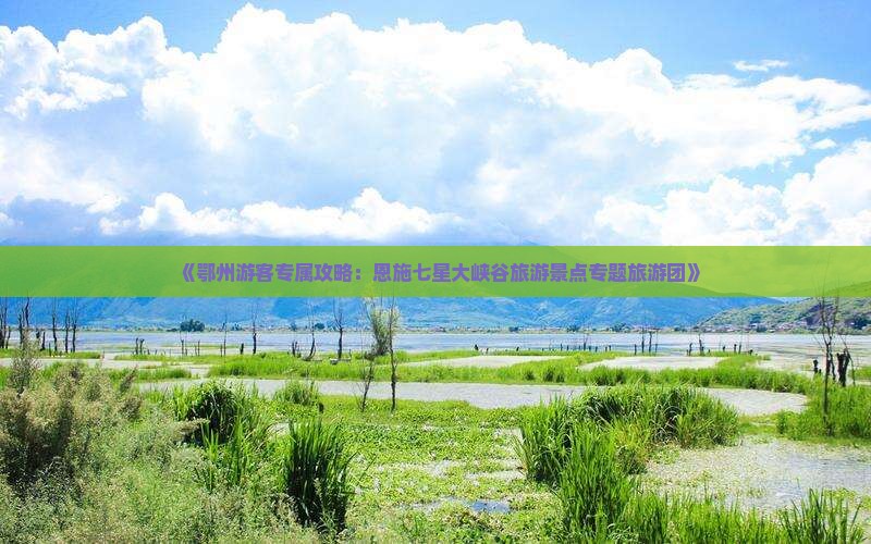 《鄂州游客专属攻略：恩施七星大峡谷旅游景点专题旅游团》