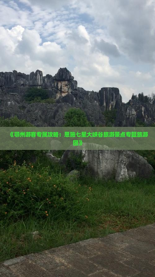 《鄂州游客专属攻略：恩施七星大峡谷旅游景点专题旅游团》