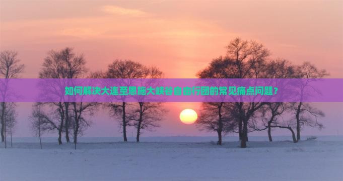 如何解决大连至恩施大峡谷自由行团的常见痛点问题？