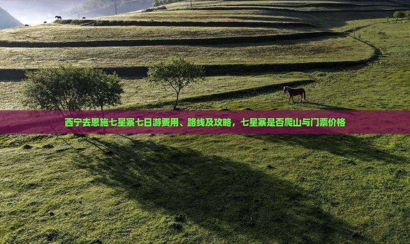 西宁去恩施七星寨七日游费用、路线及攻略，七星寨是否爬山与门票价格