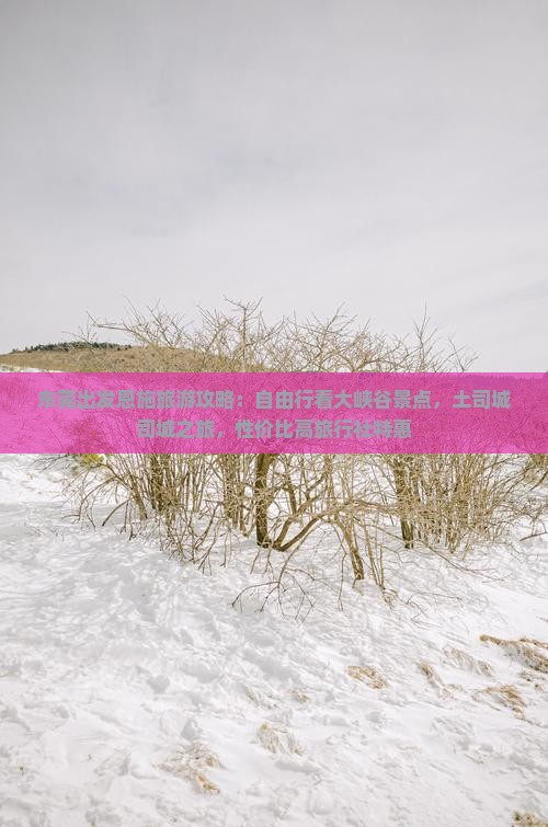 东莞出发恩施旅游攻略：自由行看大峡谷景点，土司城司城之旅，性价比高旅行社特惠