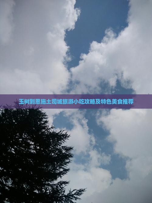 玉树到恩施土司城旅游小吃攻略及特色美食推荐