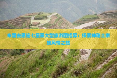 东营去恩施七星寨大型旅游团招募：探索神秘土家族风情之旅