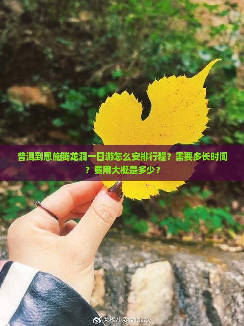 普洱到恩施腾龙洞一日游怎么安排行程？需要多长时间？费用大概是多少？