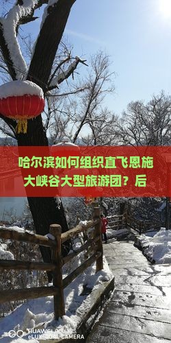 哈尔滨如何组织直飞恩施大峡谷大型旅游团？后旅游新趋势，解答游客出行痛点！