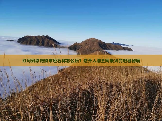 红河到恩施梭布垭石林怎么玩？避开人潮全网最火的避暑秘境