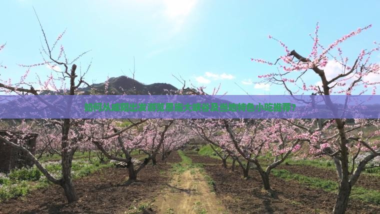 如何从咸阳出发游览恩施大峡谷及当地特色小吃推荐？