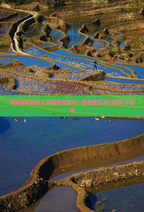 鄢陵县到恩施土司城团体旅游？团建痛点+网红地打卡热词