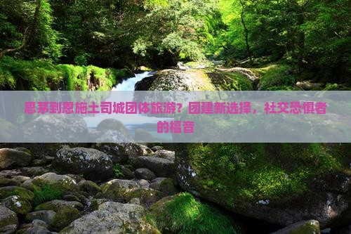 思茅到恩施土司城团体旅游？团建新选择，社交恐惧者的福音