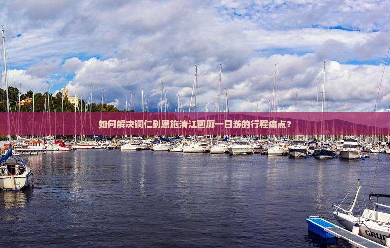 如何解决铜仁到恩施清江画廊一日游的行程痛点？