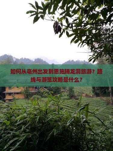 如何从亳州出发到恩施腾龙洞旅游？路线与游览攻略是什么？