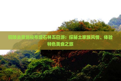 铜陵去恩施梭布垭石林五日游：探秘土家族风情、体验特色美食之旅