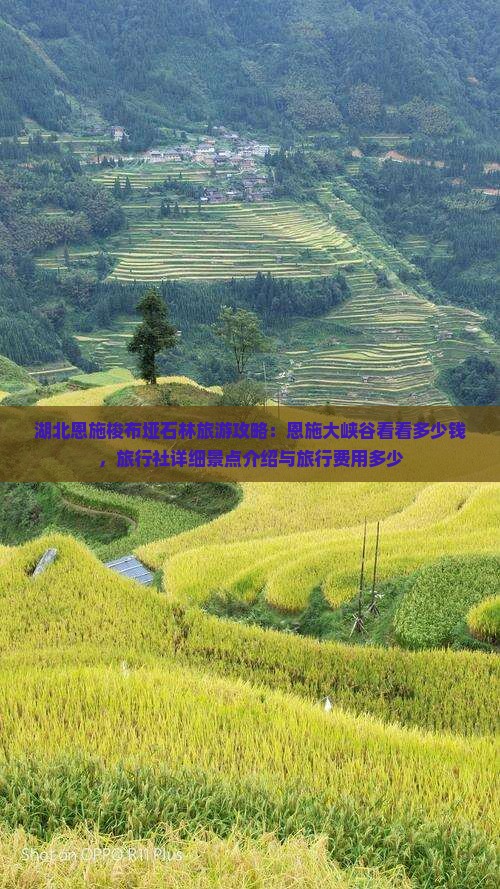 湖北恩施梭布垭石林旅游攻略：恩施大峡谷看看多少钱，旅行社详细景点介绍与旅行费用多少