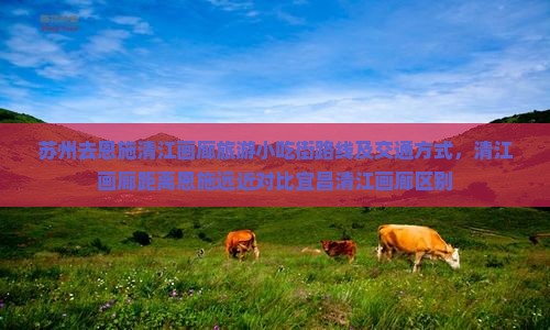 苏州去恩施清江画廊旅游小吃街路线及交通方式，清江画廊距离恩施远近对比宜昌清江画廊区别