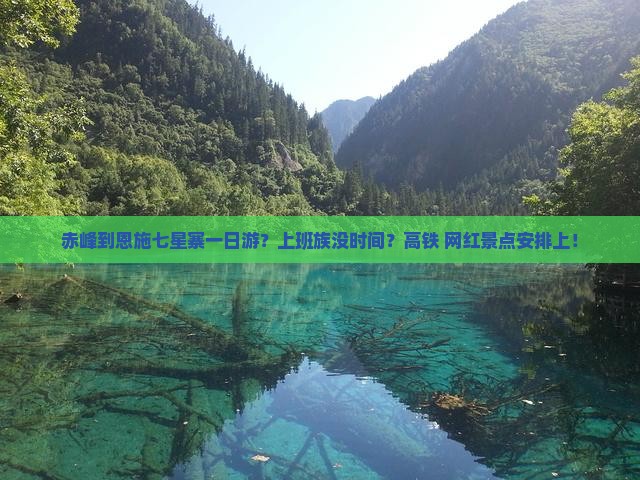 赤峰到恩施七星寨一日游？上班族没时间？高铁+网红景点安排上！