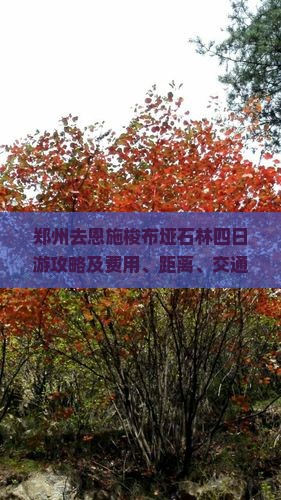 郑州去恩施梭布垭石林四日游攻略及费用、距离、交通与游玩时长
