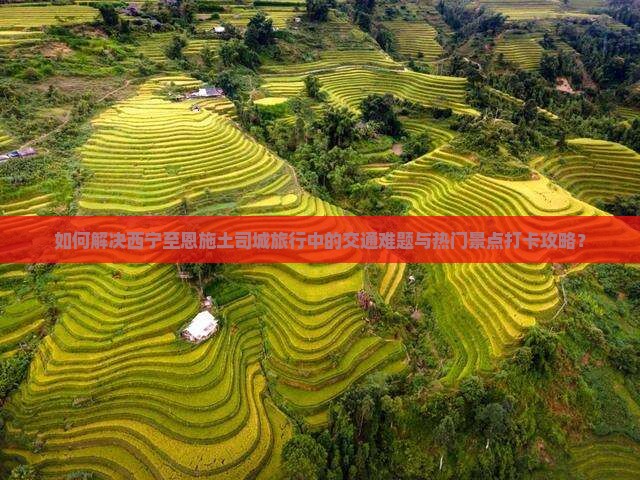 如何解决西宁至恩施土司城旅行中的交通难题与热门景点打卡攻略？