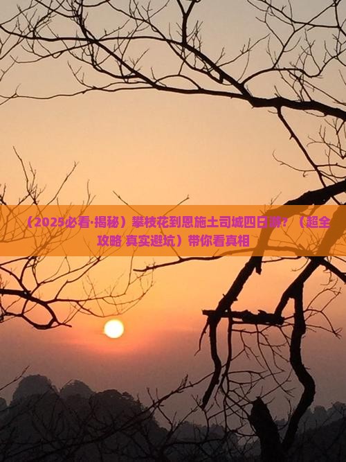 攀枝花到恩施土司城四日游