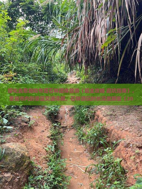 绥化去恩施梭布垭石林团体旅游