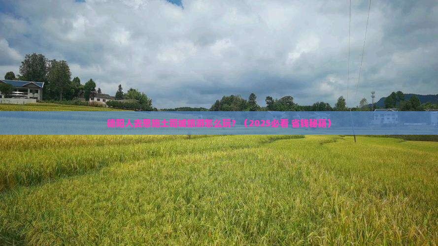 德阳去恩施土司城旅游小吃